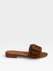 Roberto Festa Slides Lopez Brown