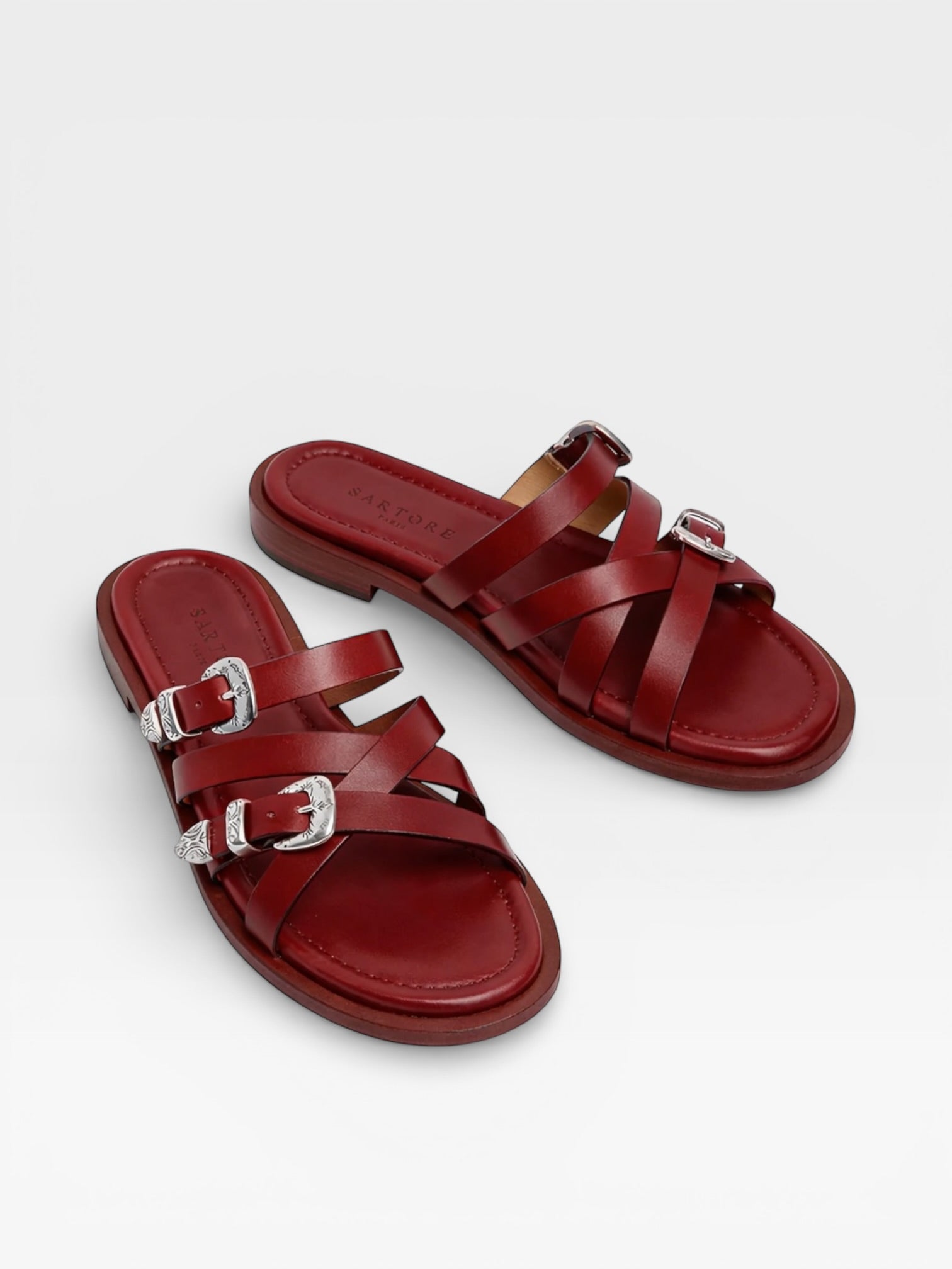Sartore Slides Sr4916 Carmine