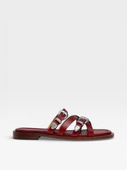 Sartore Slides Sr4916 Carmine