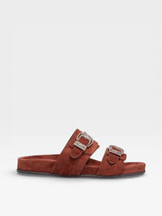 Sartore Slides Sr4741 Sequoia