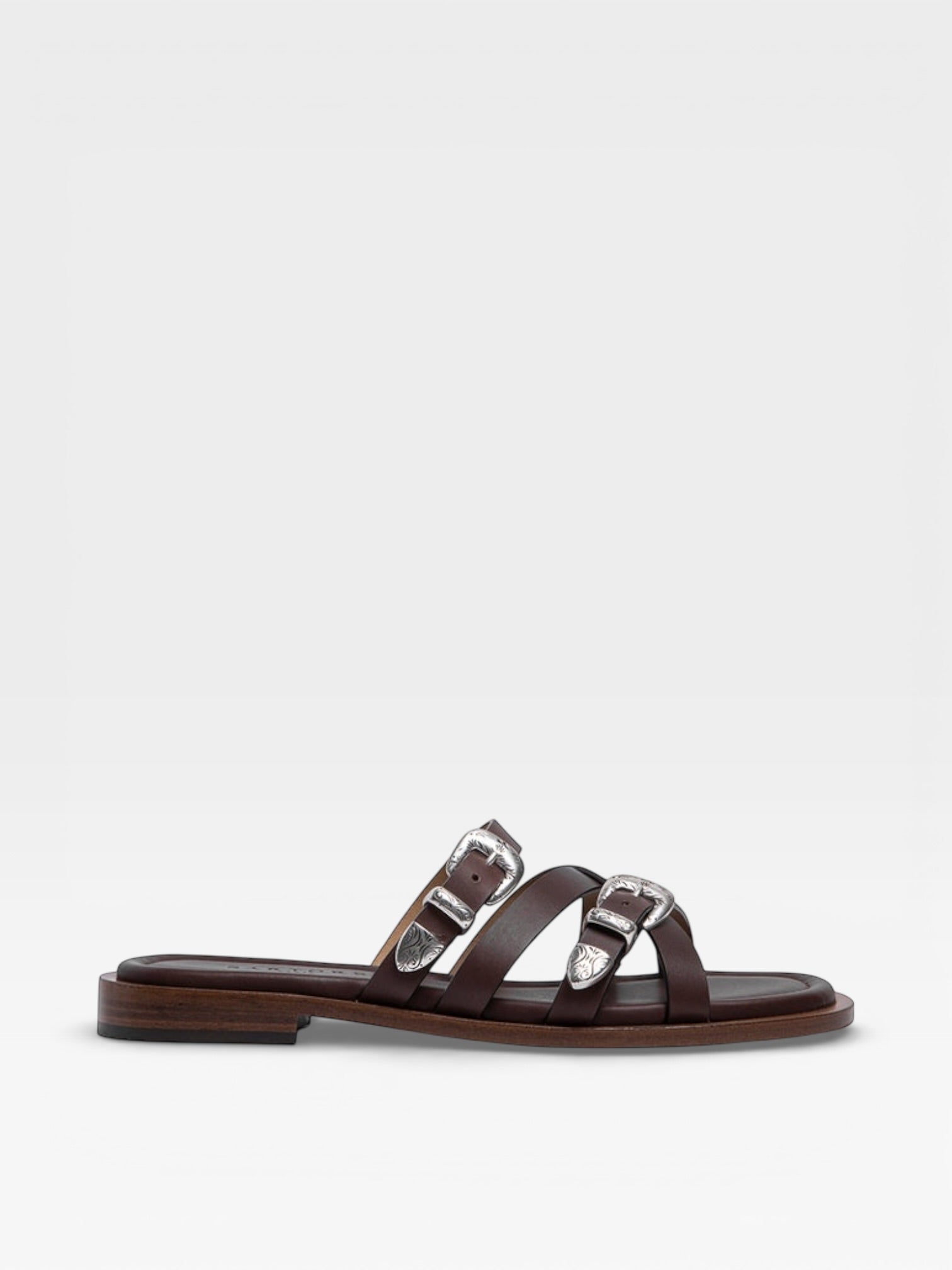 Sartore Slides Sr4916 Dark Brown