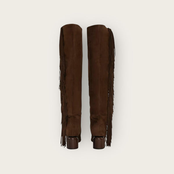 Pierre Hardy Texas Over The Knee Boots Chocolate